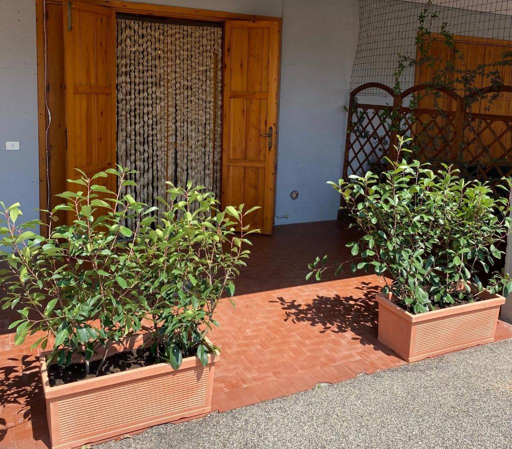 Umbria Vacanze Apartment Stroncone Exterior foto